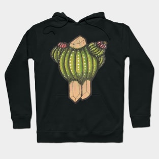 Cactus with crystal roots 1 Hoodie